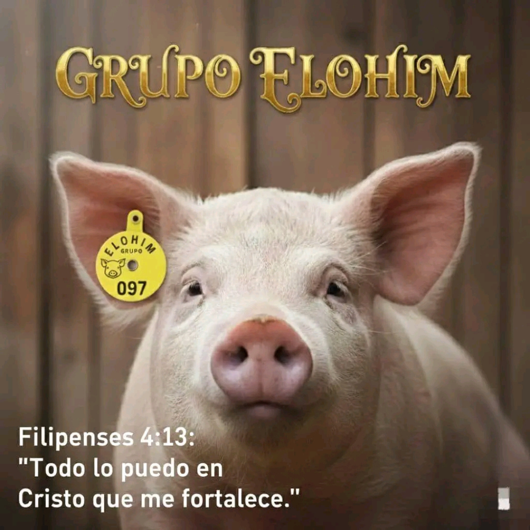 GRUPO_ELOHIM25