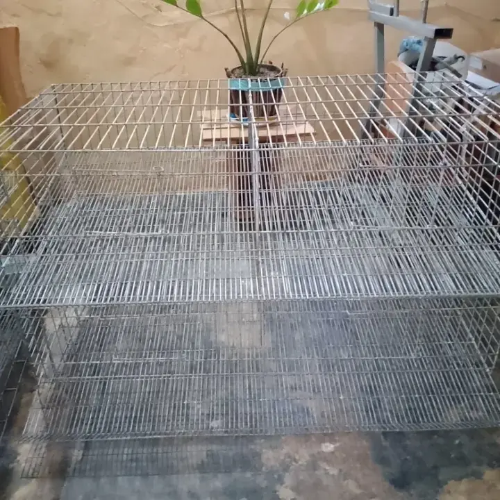 Fabricación de Jaulas Para Gallinas Ponedoras y Codorniz