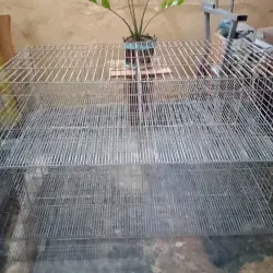 Fabricación de Jaulas Para Gallinas Ponedoras y Codorniz