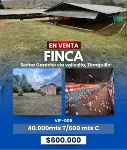 FINCA AVÍCOLA EN VENTA – GRANJA ACTIVA CON CAPACIDAD PARA 40.000 AVES
