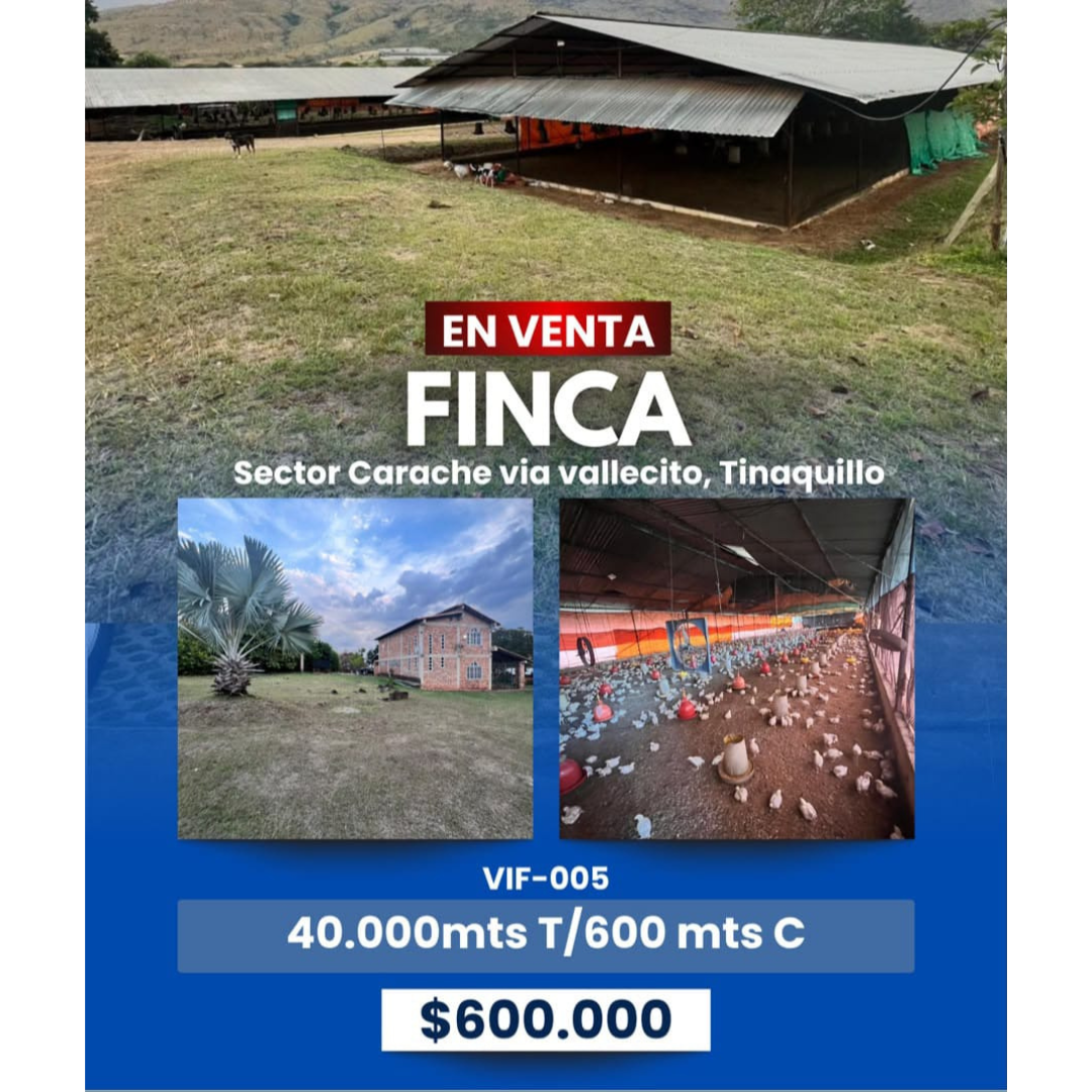 NINOSKA RAMÍREZ ASESOR INMOBILIARIO
